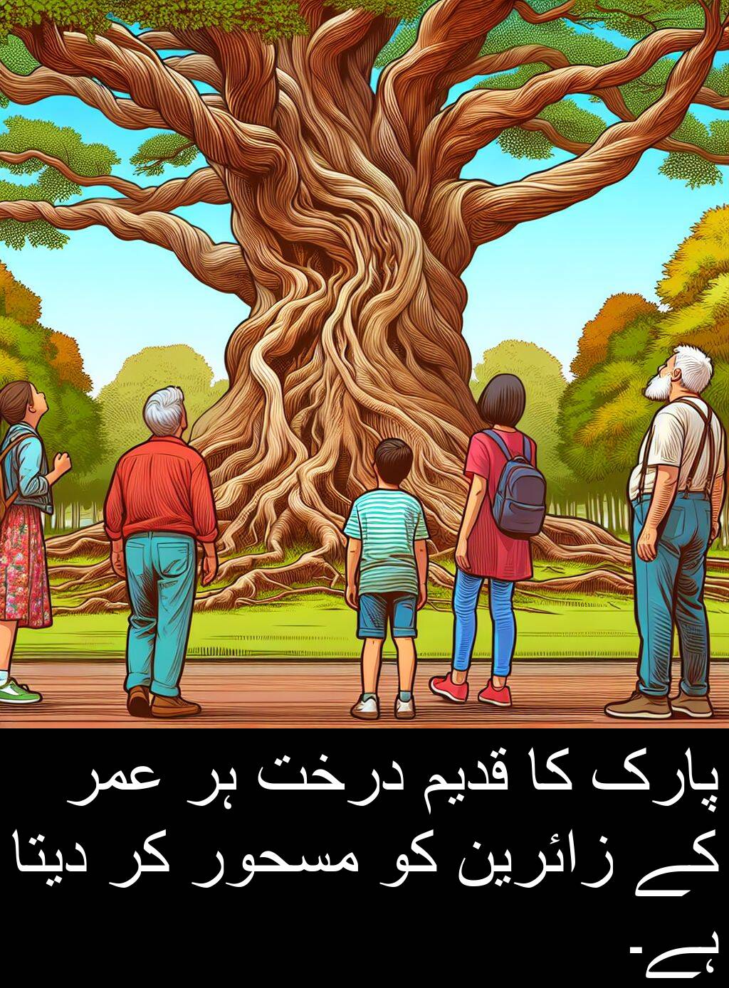 درخت